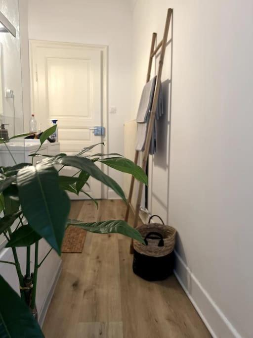 Appartement Cosy Et Lumineux Avec Parking Gratuit Colmar Bagian luar foto
