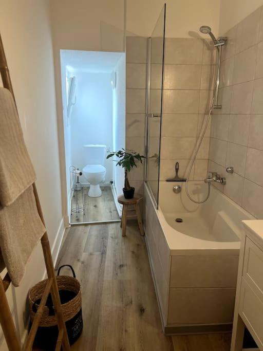 Appartement Cosy Et Lumineux Avec Parking Gratuit Colmar Bagian luar foto